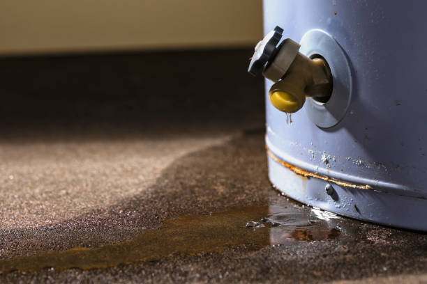 Best 24/7 water damage repair  in Dayton, NV