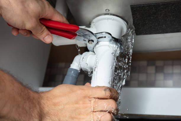 Best Basement water damage restoration  in Dayton, NV