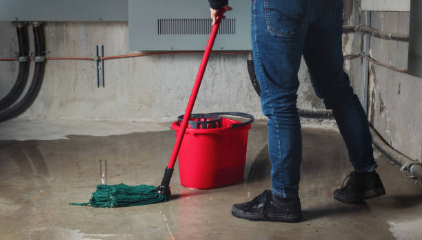 Best Water damage restoration near me  in Dayton, NV