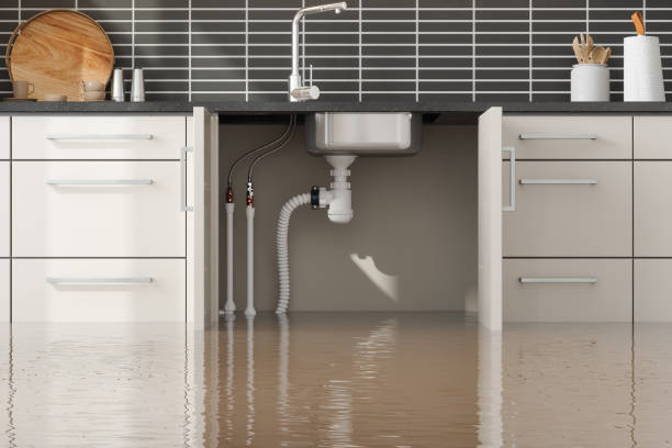 Best Commercial water damage restoration  in Dayton, NV