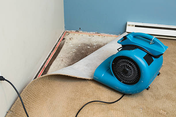  Dayton, NV Water damage restoration Pros